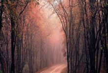 德甲杜塞多夫对阵波鸿，谁能在这场较量中占得先机？