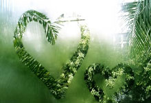 2021年欧洲杯赛程什么时候开始?