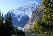 葡萄牙vs丹麦首发阵容会有哪些看点?